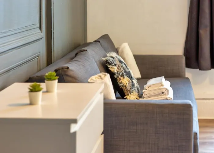 Apartman Le Black Angel Votre Au Coeur De ! Rouen